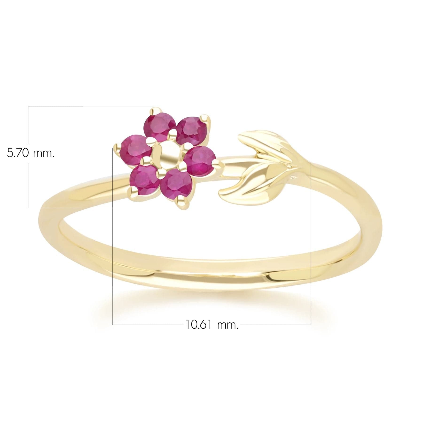 floral-vine-ruby-ring-in-9ct-yellow-gold-132r8632029 Dimensions